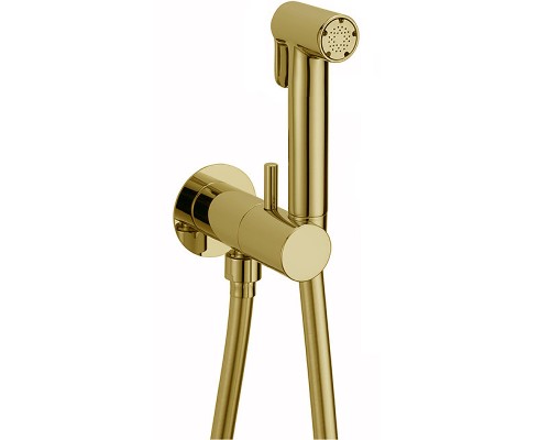 Гигиенический душ со смесителем Cisal Shower Золото