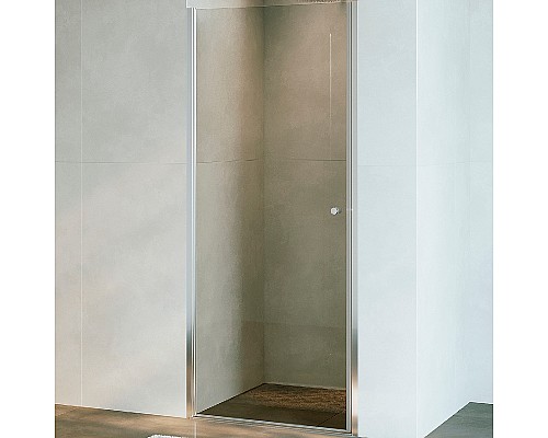 Душевая дверь RGW Dolphin TN-03 90 54930309-11 профиль Хром стекло прозрачное