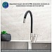 Смеситель для кухни Ростовская Мануфактура Сантехники SUS126BL-016F Нержавеющая сталь Черный