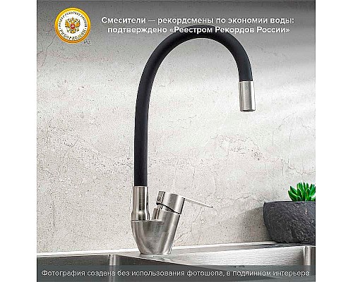 Смеситель для кухни Ростовская Мануфактура Сантехники SUS126BL-016F Нержавеющая сталь Черный Смеситель для кухни Ростовская Мануфактура Сантехники SUS126BL-016F Нержавеющая сталь Черный