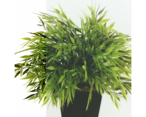 Душевой уголок Triton Вента-Блэк 90х90 Щ0000054466 профиль Черный стекло прозрачное