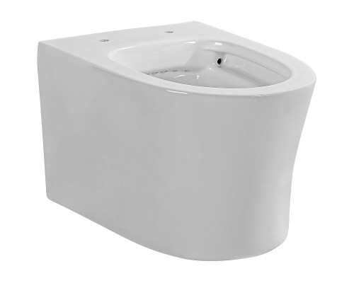 Унитаз Aquatek Ника AQ2009-00 подвесной с сиденьем Микролифт