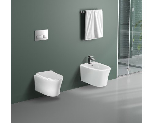 Унитаз Aquatek Ника AQ2009-00 подвесной с сиденьем Микролифт