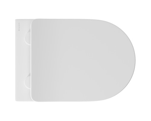 Унитаз Aqueduto Cone CON0120 подвесной Белый матовый с сиденьем Микролифт