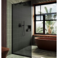 Душевая перегородка Maybah Glass 890x1950 в узком профиле Черный стекло графитовое матовое