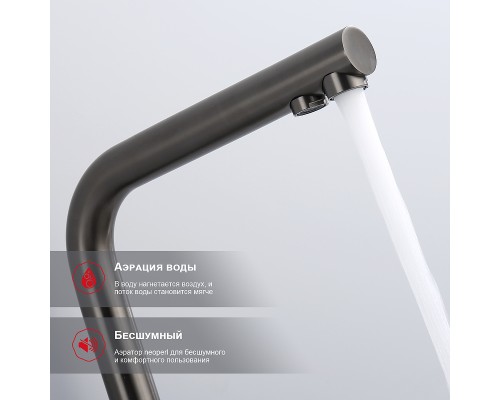 Смеситель для кухни Raglo R81.61.09 Графит матовый