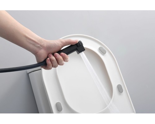 Гигиенический душ со смесителем Raglo R24.56.06 с термостатом Черный матовый