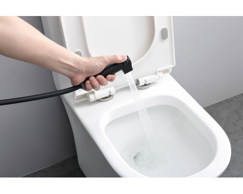 Гигиенический душ со смесителем Raglo R24.56.06 с термостатом Черный матовый