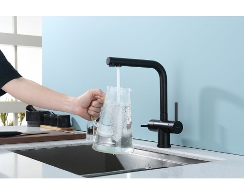 Смеситель для кухни Splenka S70.61.06 Черный матовый