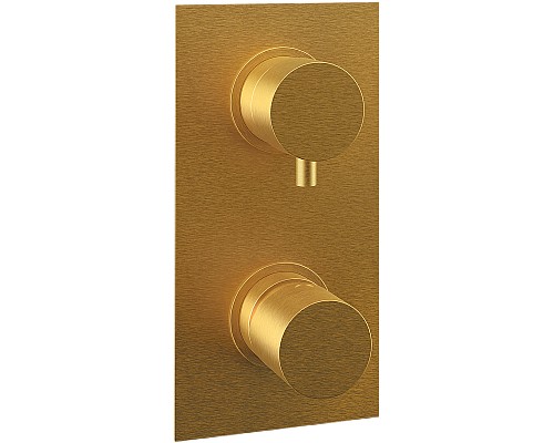 Смеситель для душа Remer Edge EG593BG Золото брашированное