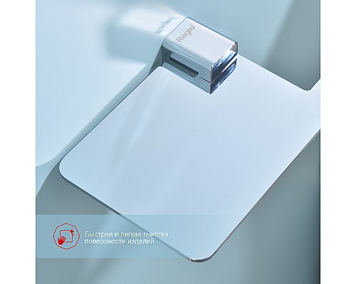 Держатель туалетной бумаги Raglo R301.03 с полкой Хром