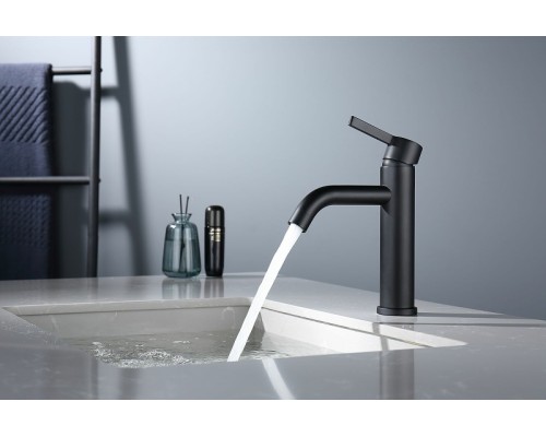 Смеситель для раковины Splenka S221.10.06 Черный матовый