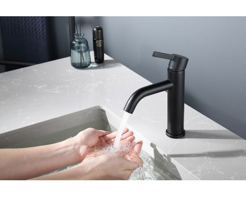 Смеситель для раковины Splenka S221.10.06 Черный матовый