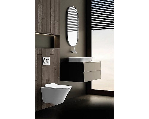 Унитаз Jacob Delafon Vive E28078RU-0 подвесной без сиденья