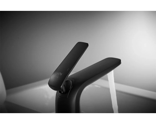 Смеситель для раковины Rose R39H Черный матовый