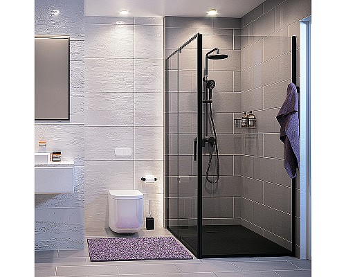 Душевая стенка WasserKRAFT Dill 61S10-RP100/Elbe 74P10-RP100 100 61S10-RP100/74P10-RP100 профиль Черный матовый стекло прозрачное