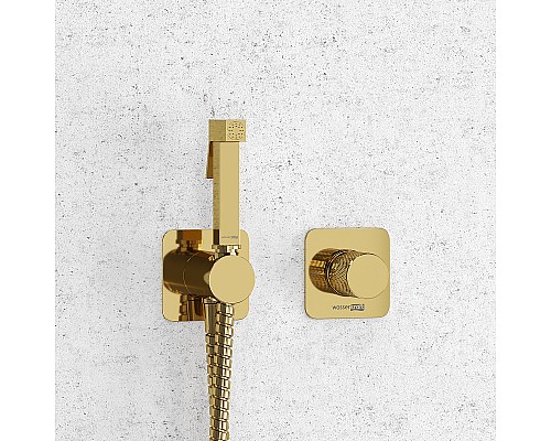 Гигиенический душ со смесителем WasserKRAFT Ems A7651.280.238.216 Золото глянцевое