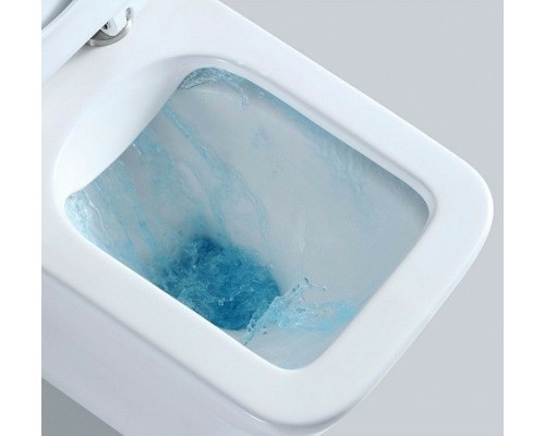 Унитаз компакт CeramaLux TR2170 с бачком и сиденьем Микролифт