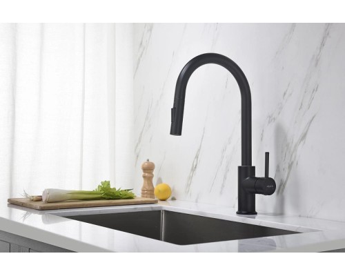 Смеситель для кухни Aquatek Европа AQ1384MB Черный матовый