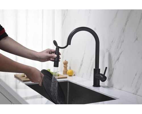 Смеситель для кухни Aquatek Европа AQ1384MB Черный матовый