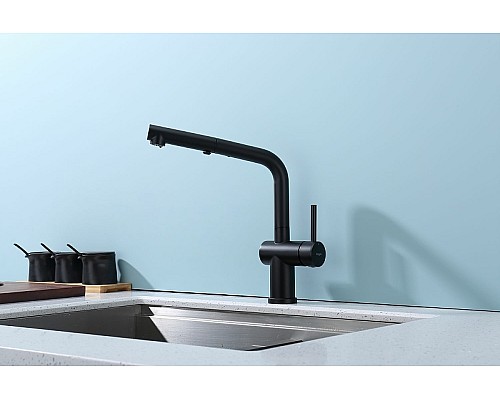 Смеситель для кухни Raglo R86.49.06 Черный матовый