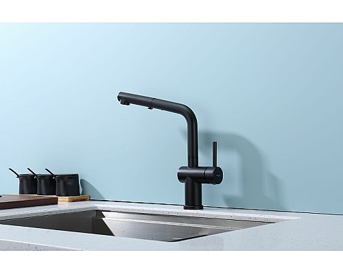 Смеситель для кухни Raglo R86.49.06 Черный матовый