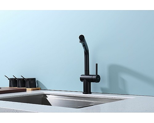 Смеситель для кухни Raglo R86.49.06 Черный матовый