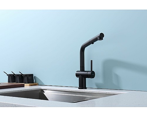 Смеситель для кухни Raglo R86.49.06 Черный матовый