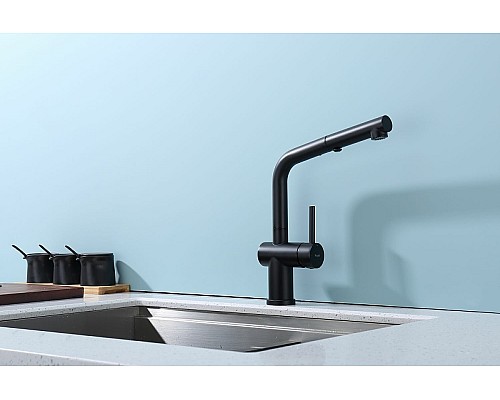 Смеситель для кухни Raglo R86.49.06 Черный матовый