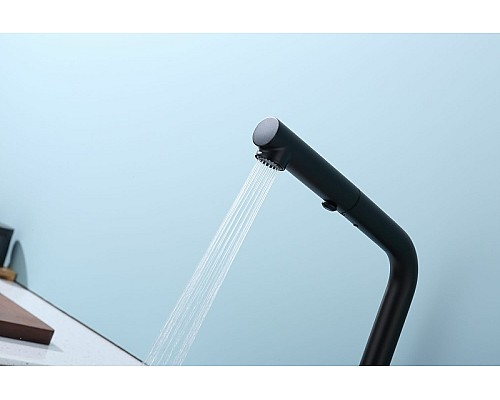 Смеситель для кухни Raglo R86.49.06 Черный матовый