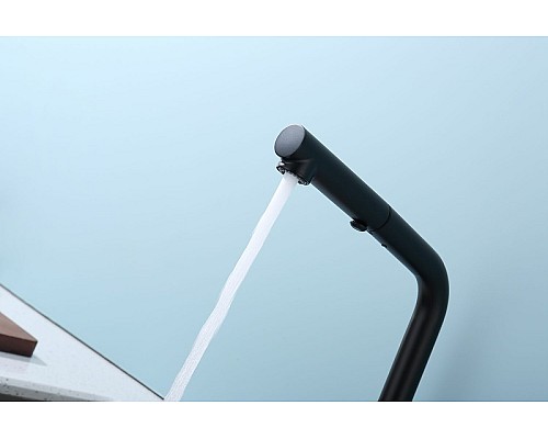 Смеситель для кухни Raglo R86.49.06 Черный матовый