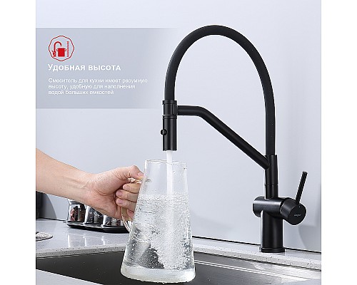 Смеситель для кухни Raglo R86.41.06 Черный матовый