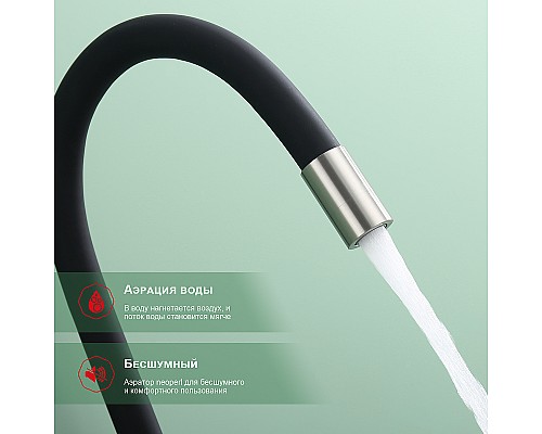 Смеситель для кухни Raglo R81.64.05 Сатин Черный