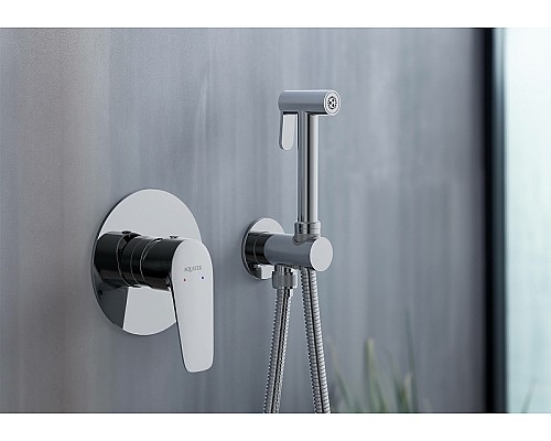 Гигиенический душ со смесителем Aquatek Бетта AQ1119CR Хром