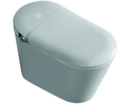 Унитаз биде Timo TE-741 с сиденьем Микролифт