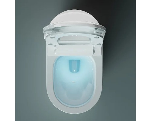 Унитаз биде Timo TE-741 с сиденьем Микролифт