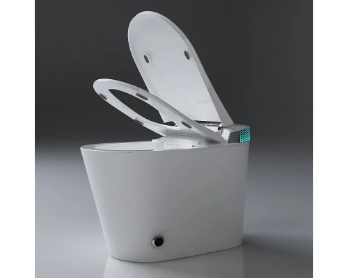 Унитаз биде Timo TE-741 с сиденьем Микролифт