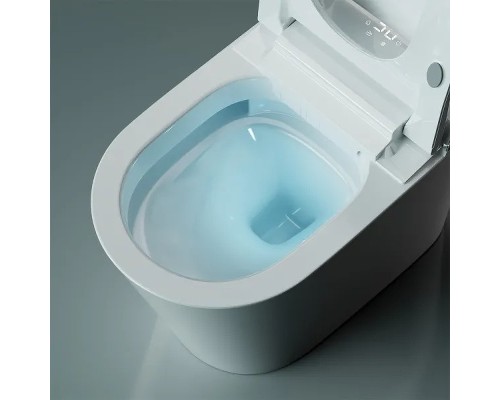 Унитаз биде Timo TE-741 с сиденьем Микролифт