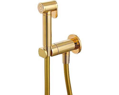 Гигиенический душ со смесителем Remer Minimal N64WDO Золото глянцевое