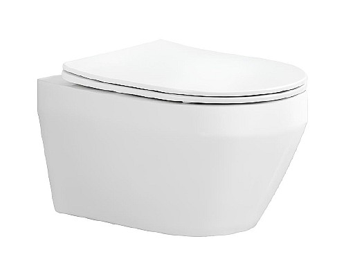 Унитаз Aquatek Лея Tornado AQ1199T-00 подвесной с сиденьем Микролифт