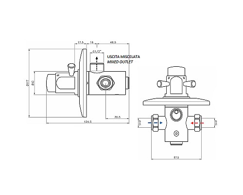 Смеситель для душа Remer Tempor TE30M Хром