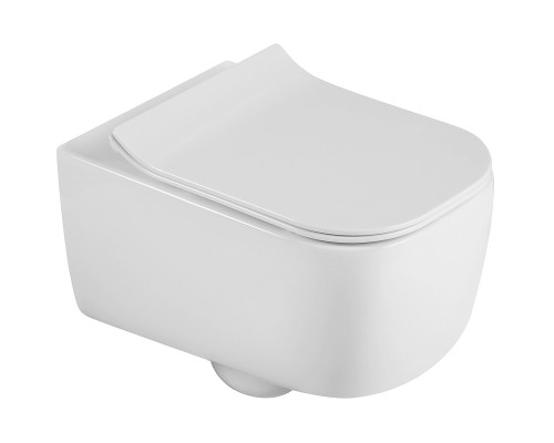 Унитаз Black&White Universe W-730 730W00 подвесной с сиденьем Микролифт