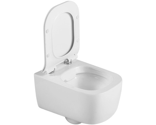 Унитаз Black&White Universe W-730 730W00 подвесной с сиденьем Микролифт