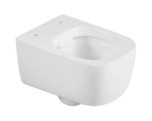 Унитаз Black&White Universe W-730 730W00 подвесной с сиденьем Микролифт