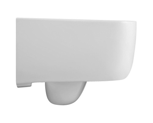 Унитаз Black&White Universe W-730 730W00 подвесной с сиденьем Микролифт