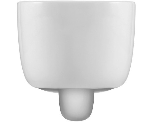 Унитаз Black&White Universe W-730 730W00 подвесной с сиденьем Микролифт