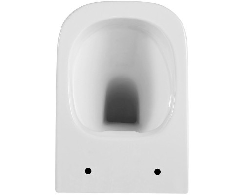 Унитаз Black&White Universe W-730 730W00 подвесной с сиденьем Микролифт