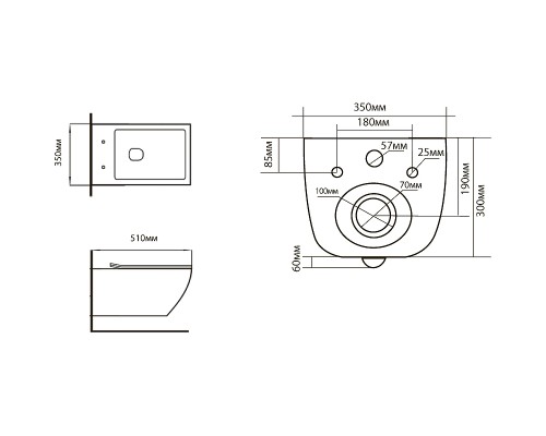 Унитаз Black&White Universe W-730 730W00 подвесной с сиденьем Микролифт
