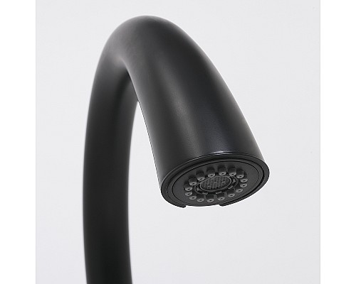 Смеситель для кухни WasserKRAFT A8667 Черный