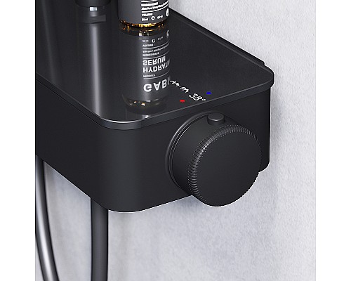 Душевая система AM.PM Inspire V2.0 F0750A422 с термостатом Черная матовая